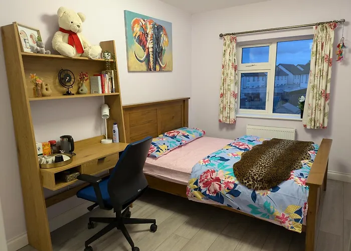 Budget Friendly King Room, Limerick